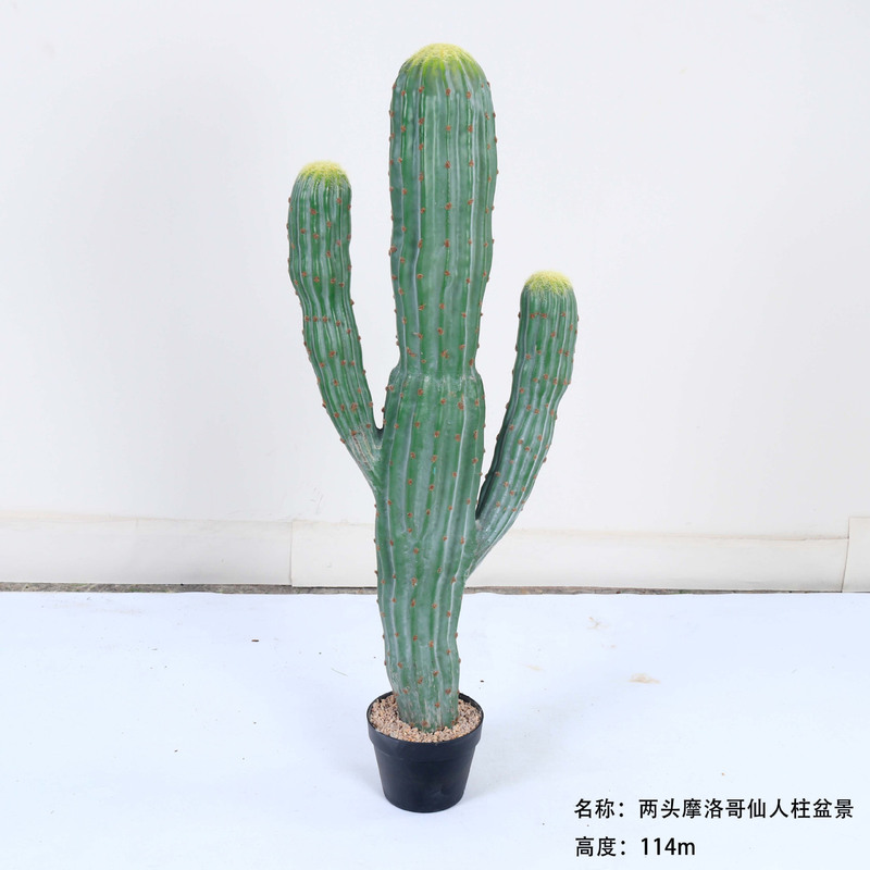 仿真龙神柱仙人掌寄生仙人球摩洛哥沙生植物造景软装样板工程装饰|undefined