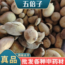 屶 Ǳ A 屶ӷ ș屶  a؛Դ