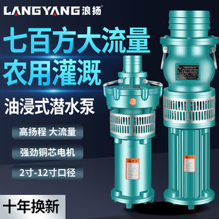 Ll Oil-Immersed Submersible Pump 380V Three-Phase Farmland Irrigation Water Pump High Lift Large Flow Water Pump Agricultural Irrigation