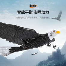 新品Z59老鹰滑翔机电动遥控航模飞机固定翼EPP泡沫白头鹰玩具飞机