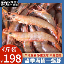 ʮ������rϠ�r��צ�r���r�r��ɽ�|���r��Ƥ�r�����tɫ�r�uצ�r 2