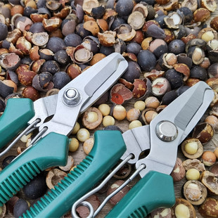 ����ɏ�ӹ�������_�����͌��Q���u�^�ׄ�����ɏ��ȥ��