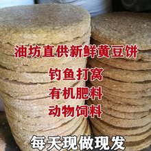 ��������������ϻ�������Ұ������״����Ϻ�����϶������ݱ���