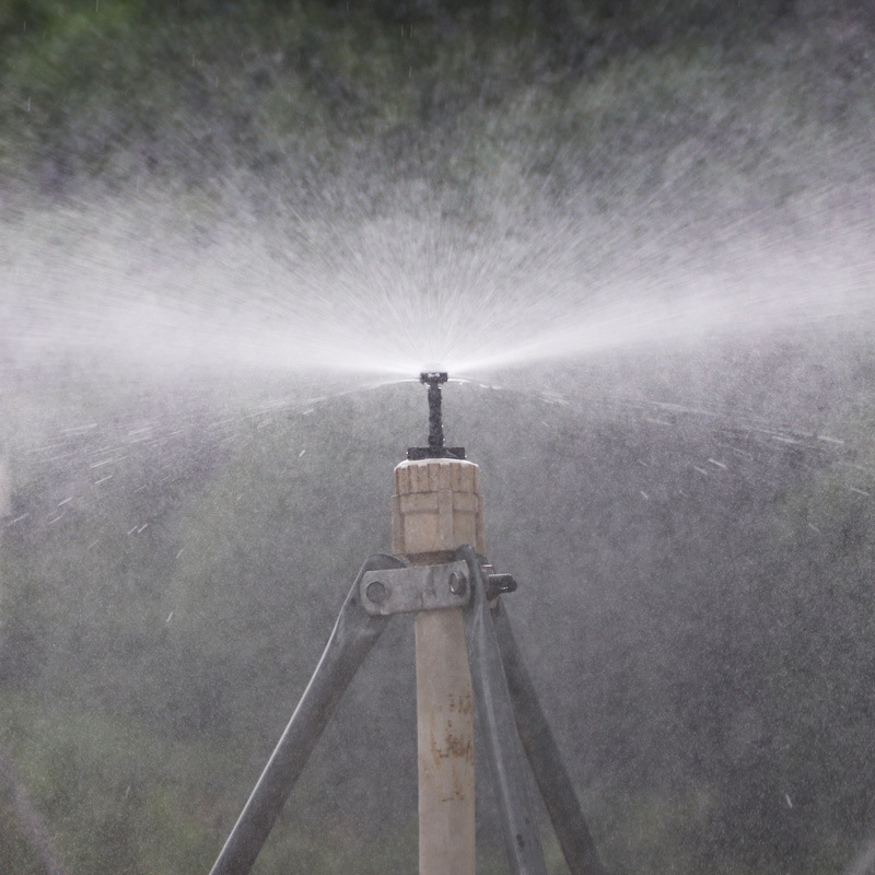 4 / 7 Single Hook Thread Goiter Precio unitario no incluye impuestos