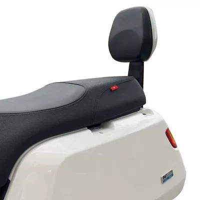 Electric car rear backrest: N1S Original Backrest Cushion