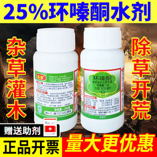 �{�Sɭ̩25%�h�ͪ���݄�ɭ�ַ������ľ�s�ݳ��݄��rș