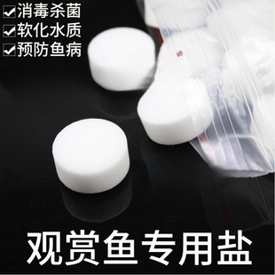 ���}�}���{�}�����S��ˮ���~���^�p�~�~�ßᎧ�~�}�����V������