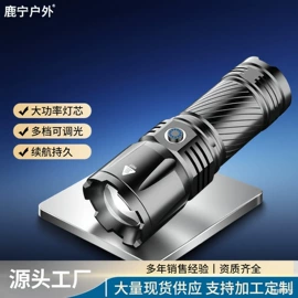 其他照明电筒;头灯头戴电筒;手电筒