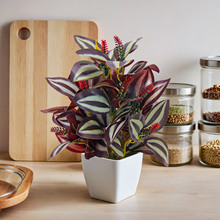 �����辰���W�پGֲ�b��k��������[�����⻨�@̨�����С����