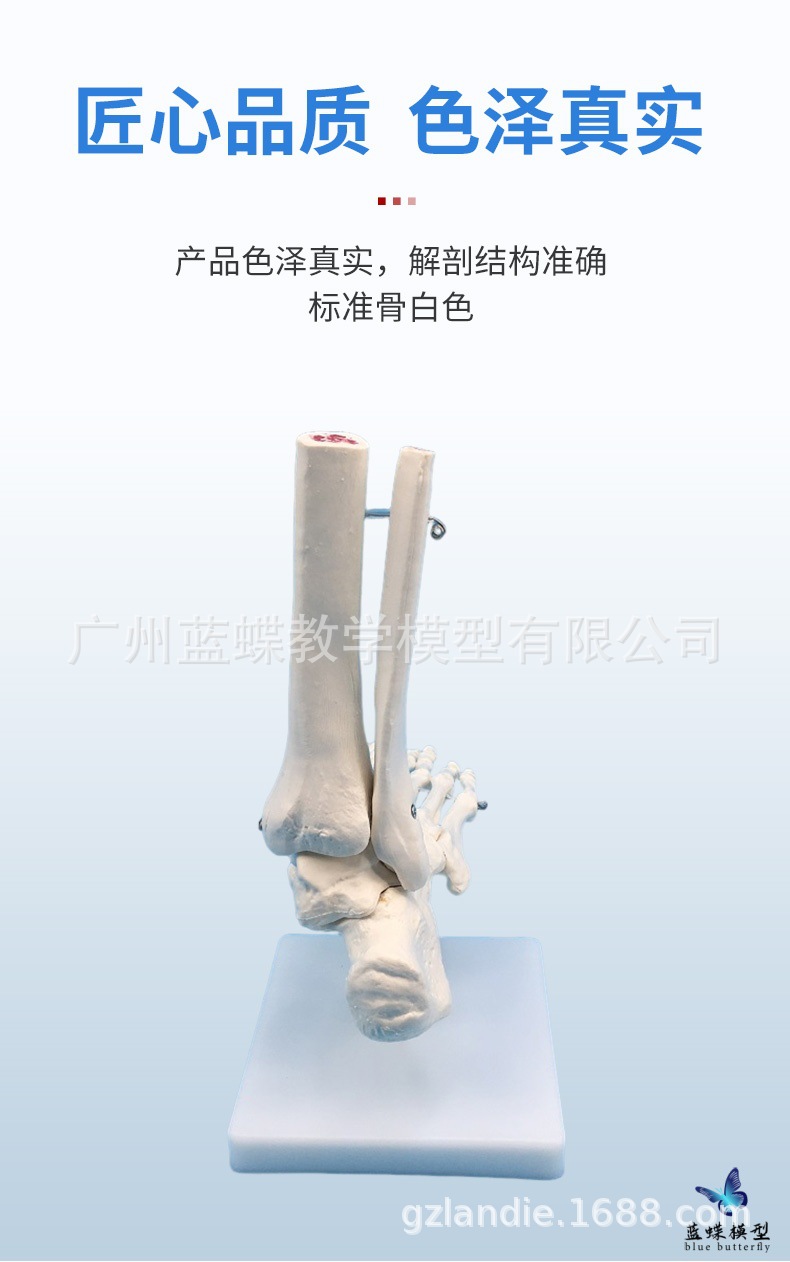 详情_05