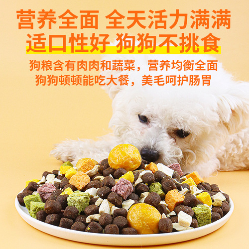 Charming Cool Freeze-Dried Dog Food 9-in-1 Wholesale and Distribution for Teddy Golden Retriever Puppy and Adult Universal Freeze-Dried Chicken Duck Egg Yolk