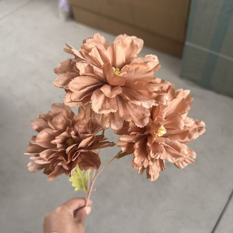 pivoine d'hibiscus