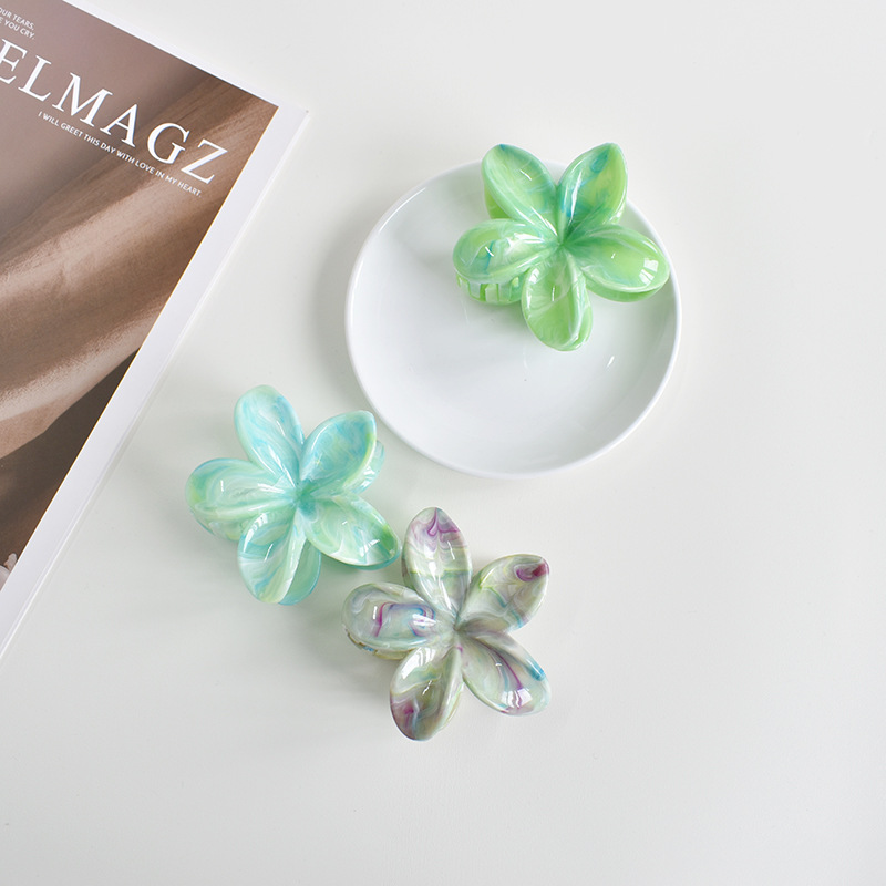 38g Weight Hair Claws Hair Accessories Type 1 Piece Quantity Casual Occasion Plastic, Resin Material Plumeria Pattern Women's Gender Simple Style Style Simple Style Women's Plumeria Plastic Resin Hair Claws 3