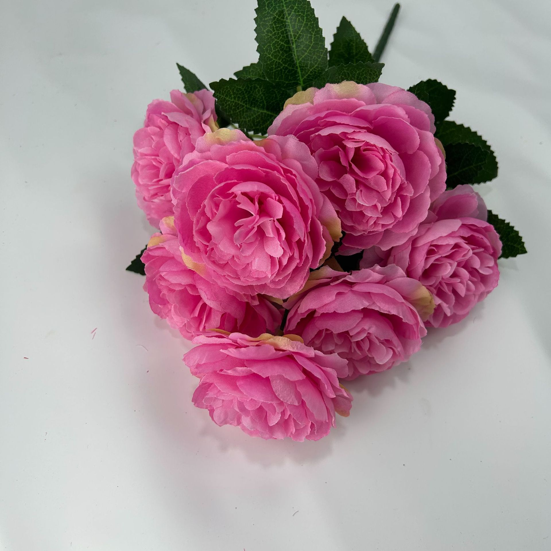 라이트 로즈 레드