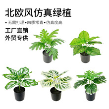 ���R�d�������W�L����Gֲֲ���辰�����~��������b@���쾰