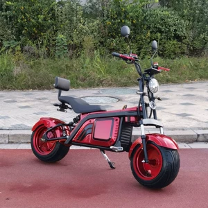 EEC 2000W elektrikli motosiklet, böyüklər üçün elektrikli avtomobil, citycoco