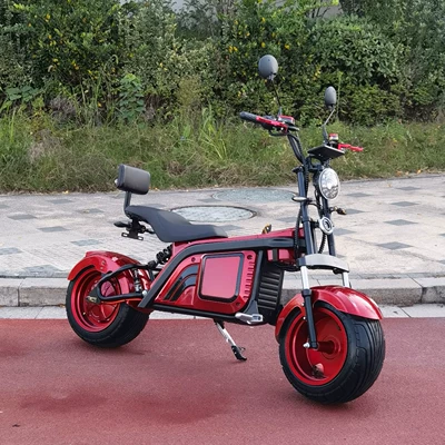 EEC model 2000W Elektrikli motosikletlər