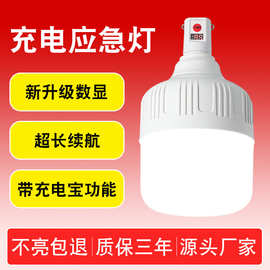 新升级USB充电灯泡带充电宝户外露营摆地摊家用停电应急led球泡灯