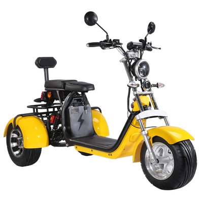 Vehicle Electric Motorcycle, Elektrikli motosikletlər