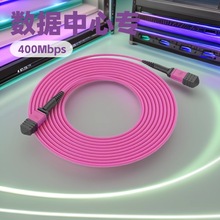 MPO-MPO OM4�f�׶�ģ8о12о24оĸ�^B�O��OM4����200G���w�����l