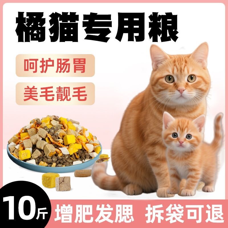 Special cat food for orange cats 5kg Packaged cat food for adult and young cats, freeze-dried, nutritious, fattening, for stray cats and domestic cats 2.5kg Special cat food for orange cats 5kg Packaged cat food for adult and young cats, freeze-dried, nutritious, fattening, for stray cats and domestic cats 2.5kg