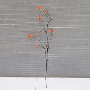 �t���~���滨������~��t�~�ٗl�Gֲ�Ҿ����P�Ӱ巿�����b�