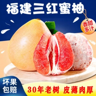 ����ƽ�ͼt�����֮����¹��a��ֱ�N���@ֱ��Ƥ������֭һ�����l