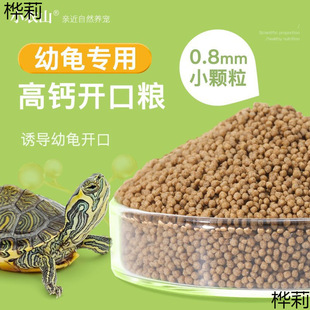 Small turtle feed baby turtle food open food turtle seedling special food food turtle crocodile Brazilian tortoise turtle turtle turtle general