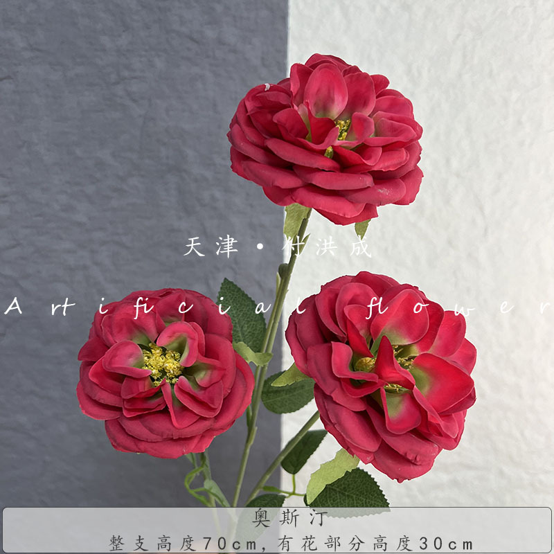 3헤드 오스틴