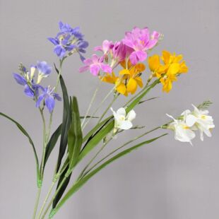 ��ѩ�m���滨���m���n�m�ٻ��ָб���ҾӔ[�O�b���ܛ�b�[��