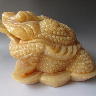 ������[�� ���S����