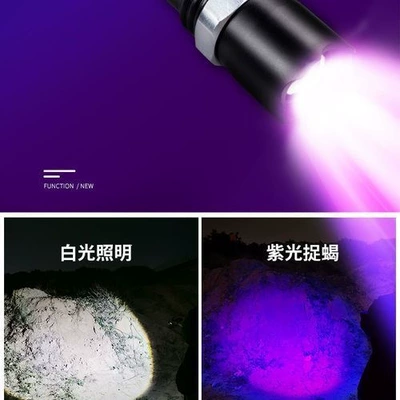 High-brightness scorpion catching lamp, scorpion flashlight with dual white and purple light sources, ultra-bright professional tool for catching scorpions, beetles, and detecting counterfeit money, L (UV fənərlər) - dual-white-and-purple-light-sources-rechargeable-comes-with-a-pick-special-forces-scorpion-light-dual-light-498000k-rechargeable