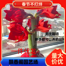 һ�����l��피tϞ������������˹�Ů����Ů���M�ڷ�Ϟ���˟o����