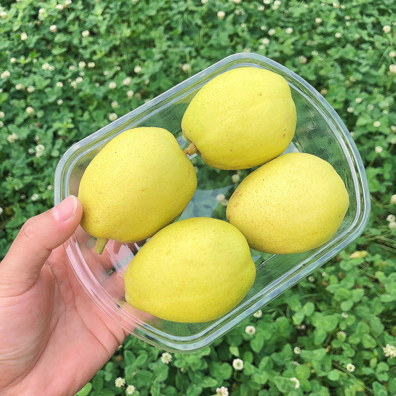 IMG_0239(20210512-173724)_副本.j