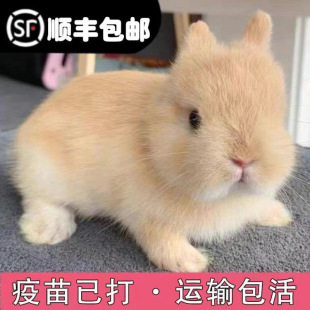 С���ӻ���٪�����L��������С�͹������m�����ò豭�ü��B������