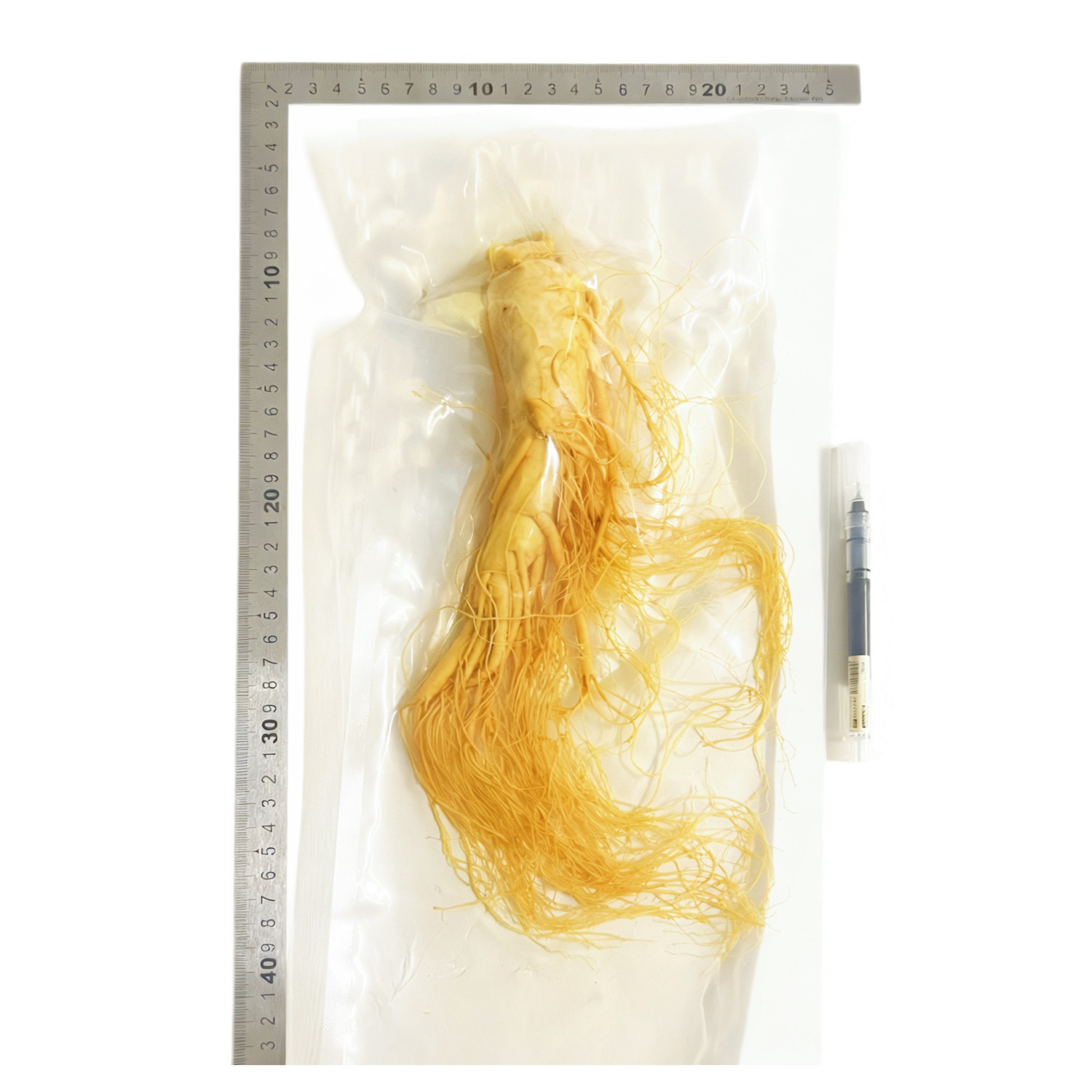 【鮮人参】長白山人参卸売メーカー直販 東北特産新鮮人参 酒漬け人参 生人参