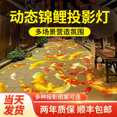 3Dダイナミック特殊効果鯉魚投影ランプ屋外照明公園インターネット有名人の景勝地の地面パターン雰囲気スポットライト