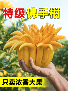 ���ָ�ˮ��ֲ���r���������^�p�[���҃�ˮ�B�Gֲ���r�Fժ��ʳ��