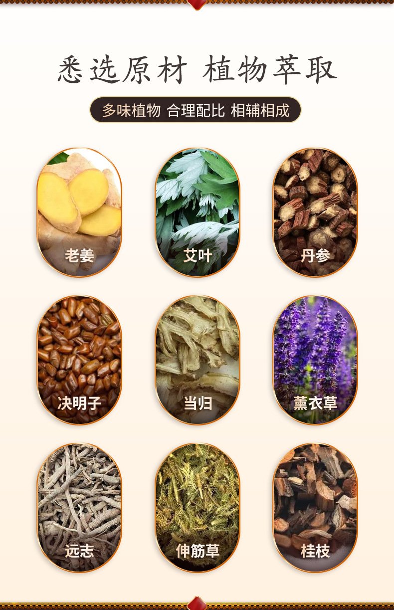 Old Ginger Mugwort Salvia Foot Patch Herbal Foot Sole Patch for Sleep and Daily Foot Care 50 Patches specifications
