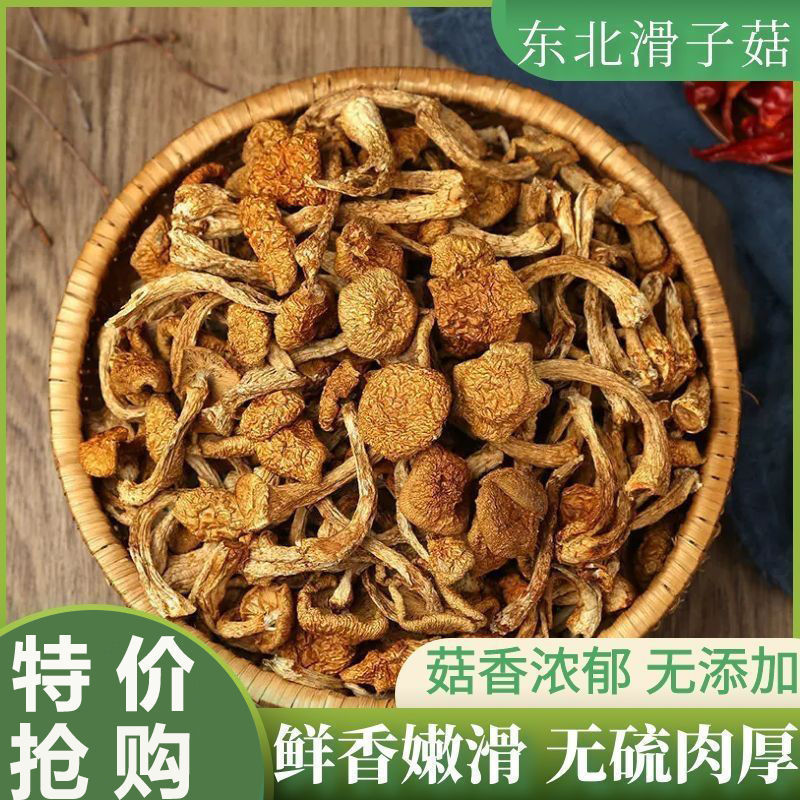 东北滑子菇干滑子蘑小黄蘑菇干货无硫新鲜炖汤香菇类干滑子菇