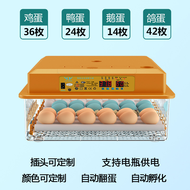 家庭用孵化器ひよこ孵化器小型家庭用孵化機全自動知能鶏鴨ガチョウ鳩孵化機|undefined