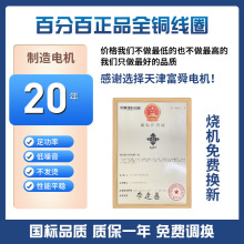 2极三相异步电动机 YE3高效率全铜电机0.75kw-37千瓦交流电机定制