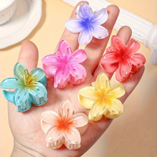 3CM�羳���������u�����l�A�羳�lץŮ�W��in����l�A���X�װl�