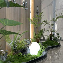 ����ֲ���쾰���z���ڇ��l��ˮ�l�҃ȾGֲ��߅�����̨�ړ�������