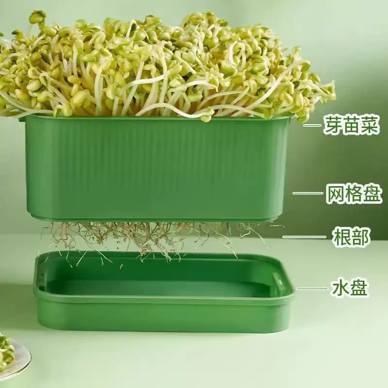 Специальный горшок для проращивания бобов на кухне, лоток для рассады, горшок для проращивания, крупная ёмкость, артефакт, домашняя фасоль желтого маша, котовая трава