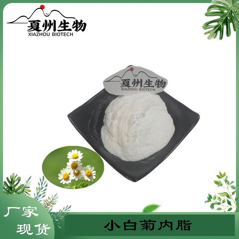 小白菊内脂98% 小白菊提取物 另有0.5% 2% 3%规格  厂家现货