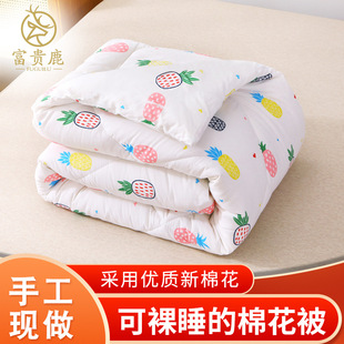 Xinjiang Cotton Quilt, First-Class Pure Cotton Quilt, Pure Cotton Quilt Core, Cotton Batting Winter Quilt, Thickeneded Single and Double Spring & Fall Quilt, Summer Cool Quilt