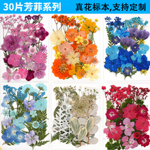 干花DIY材料滴胶压花手工化妆造型押花真花贴脸妆装饰画材料包