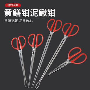 ���P������A���Q�A�S�X�A�s���зȡ��A�L���Aʰ�������Q�h�l�A