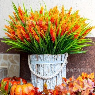 �羳���N����7��7�^޹�²����ϼٻ���ݾGֲ���Ի�c�쾰���滨